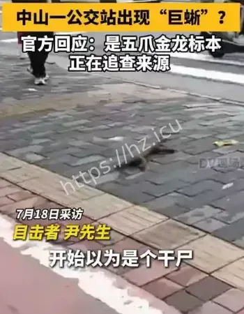 官方回应