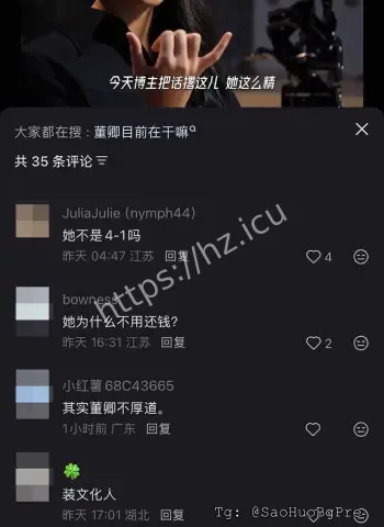 董卿高官包养